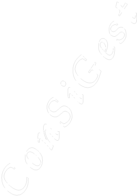 ConSiGest